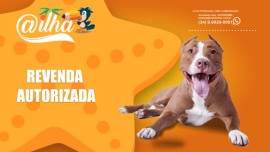 Dropshipping A Ilha - loja virtual com sua marca + aplicativo Android